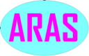 ARAS Accounting Services