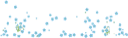 Brodersens Regnskab